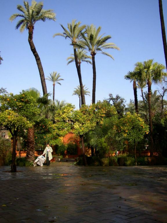 Alcazar : jardins