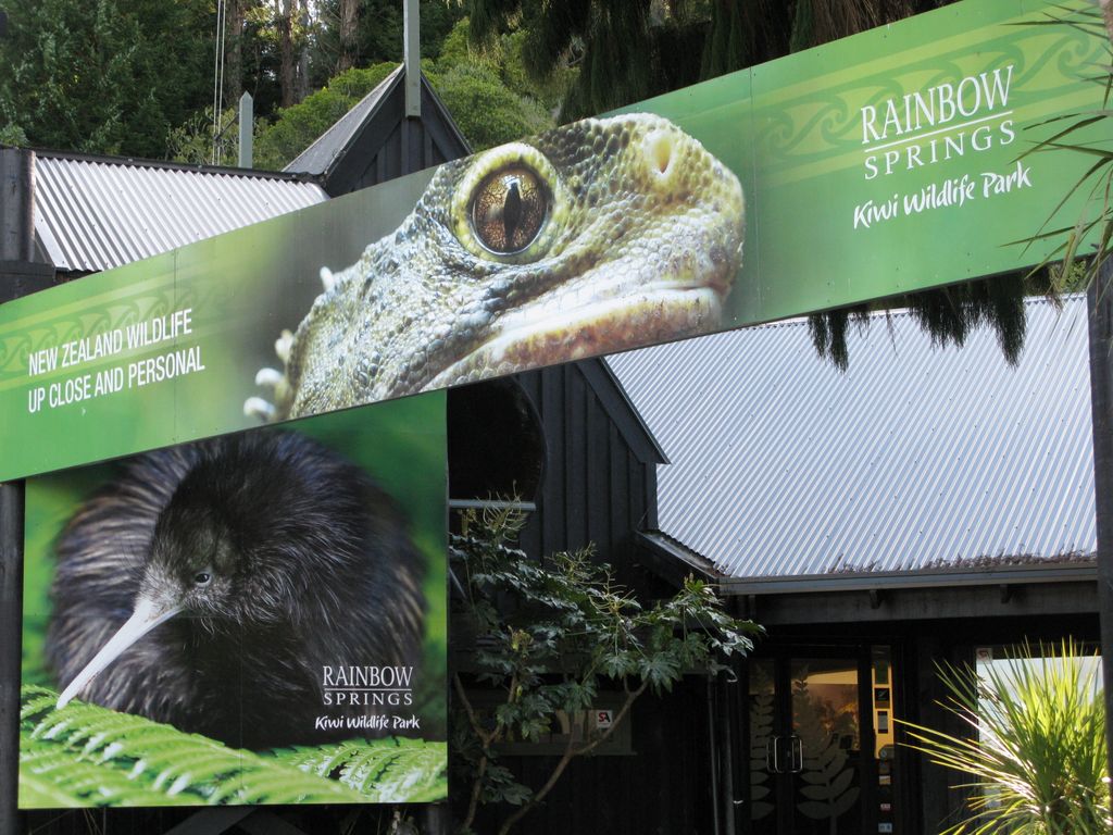 Site des "Rainbow Springs"(proche de Rotorua)