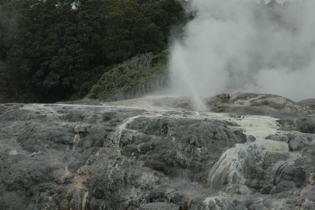 Geyser Pohutu