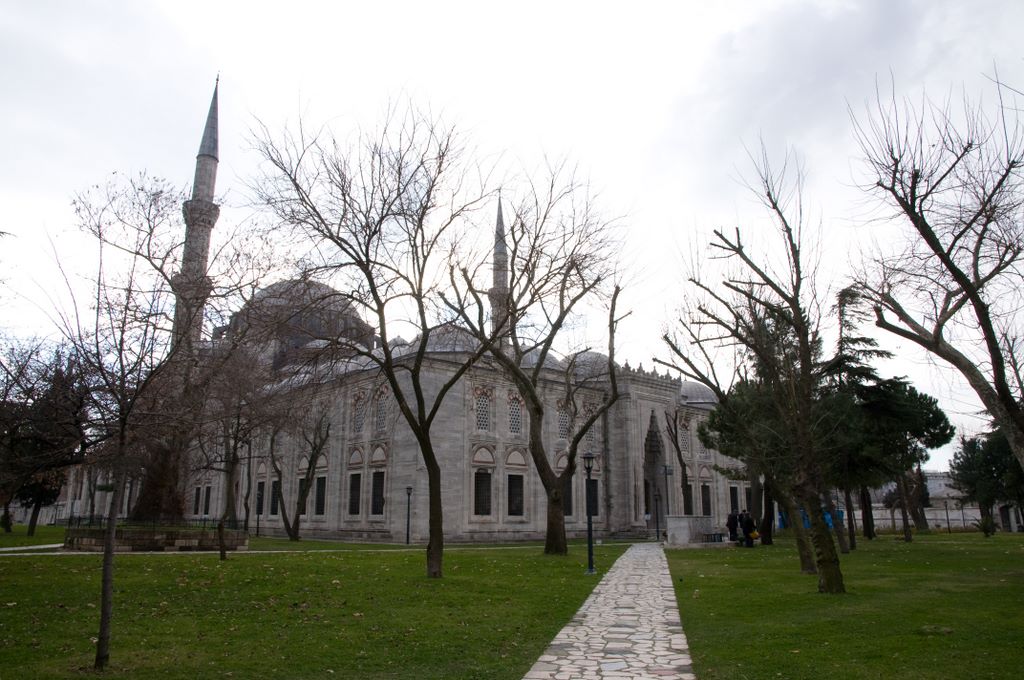 La mosquée dans son jardin