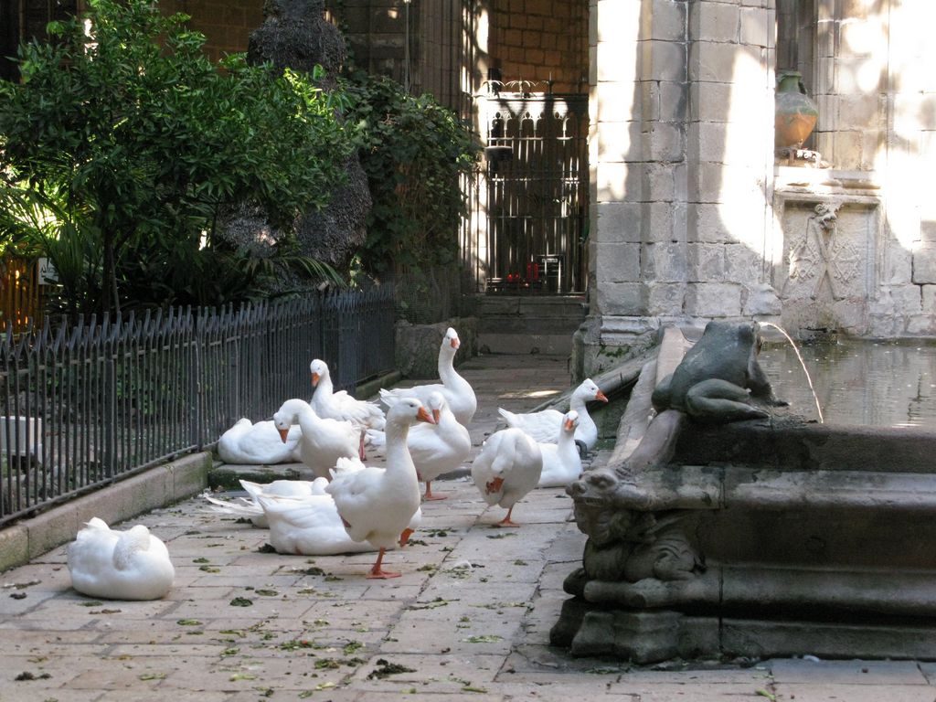 >Le cloitre de la cathédrale