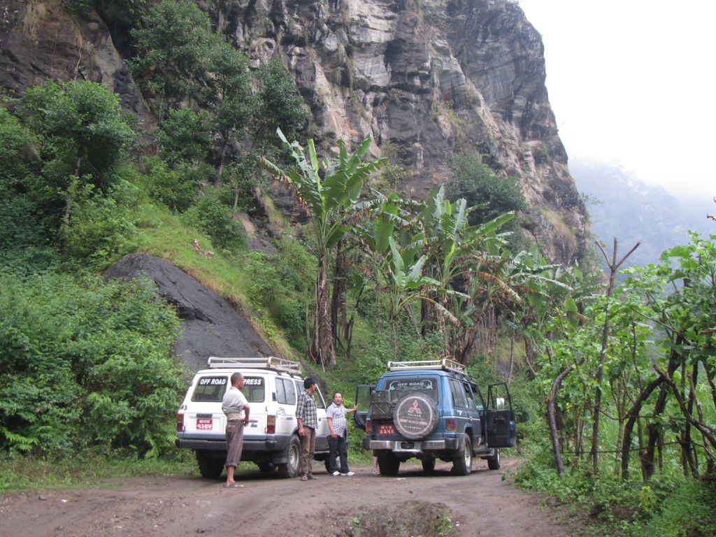 Paysage subtropical