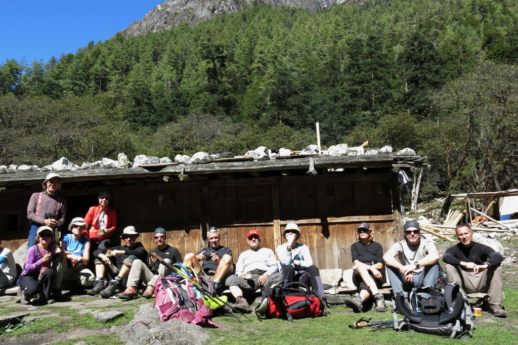 Pause thé ensoleillée