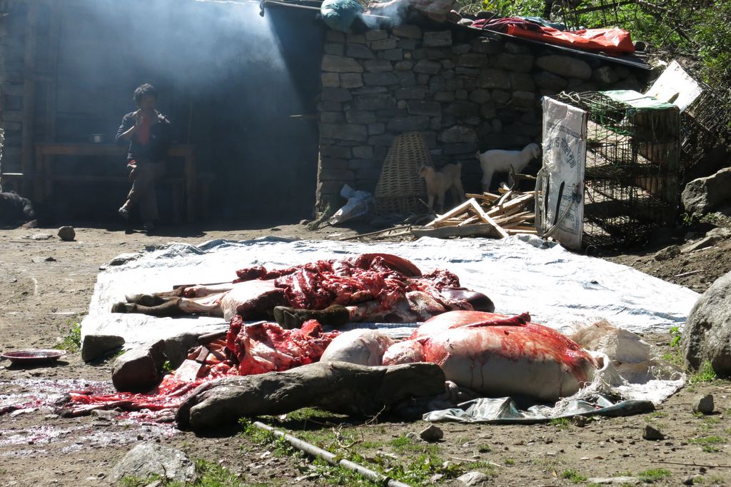 L'abattoir local : bon appétit !