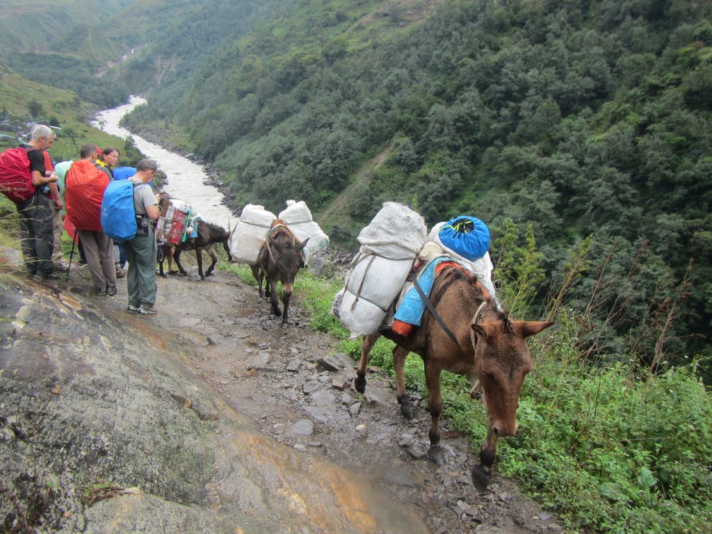 On croise des mules chargées : c'est mauvais signe...