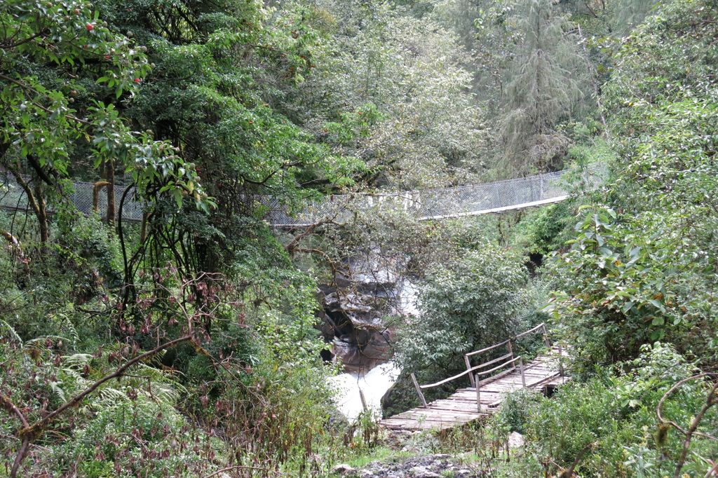 Deux générations de ponts