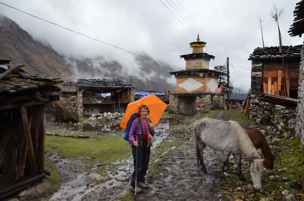 Arrivée à Shyala à 3370m