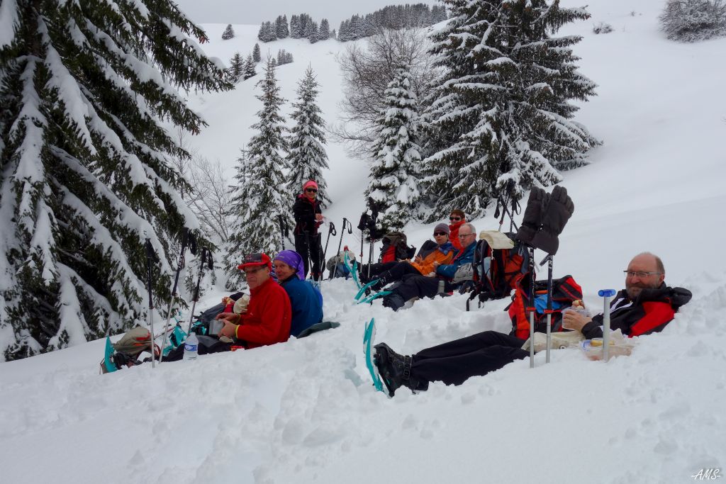 Pique-nique dans la neige pour les plus courageux