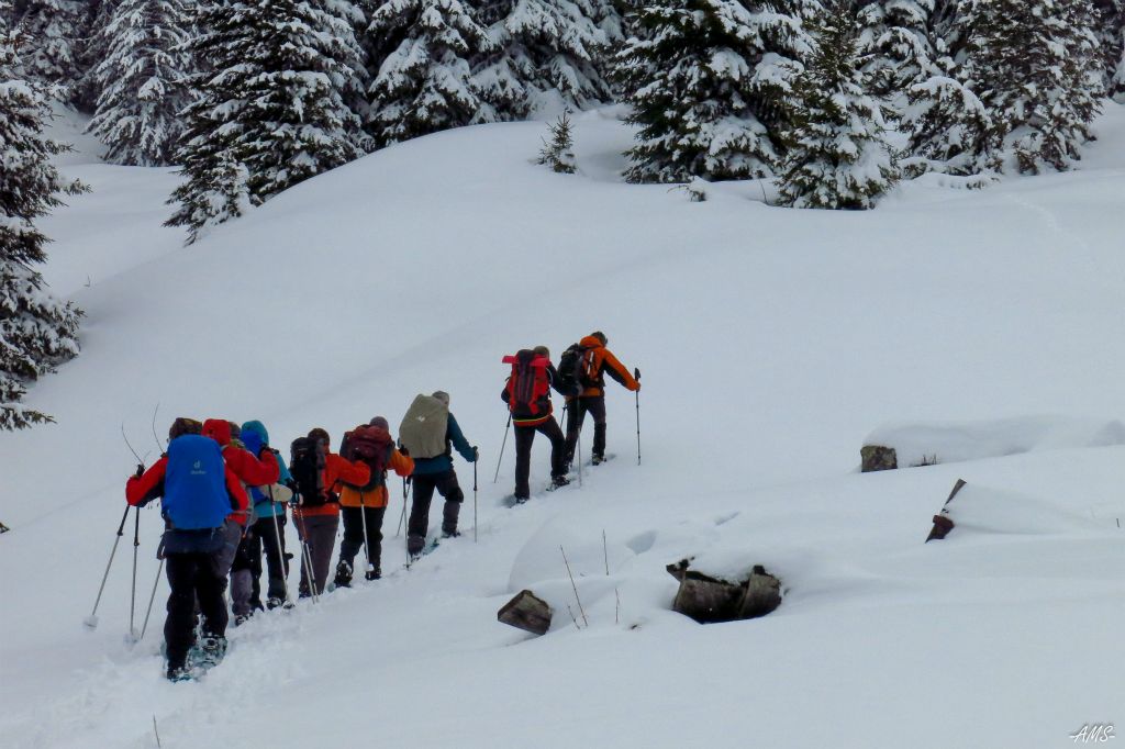 Montée vers Le Plan des Mouilles