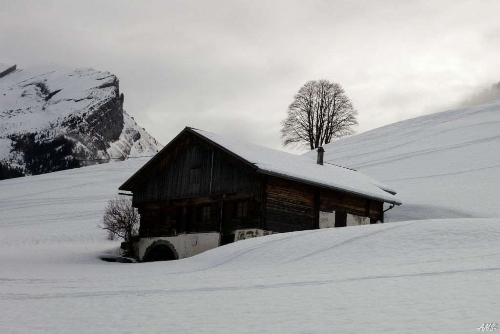 Pierre nous présente un très beau et vieux chalet où il a habité