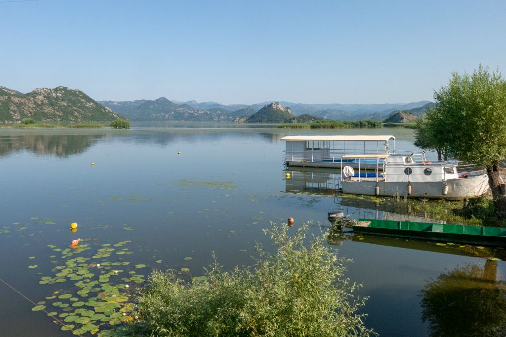 De grandes surfaces du lac de Skadar sont recouvertes de nénuphars jaunes