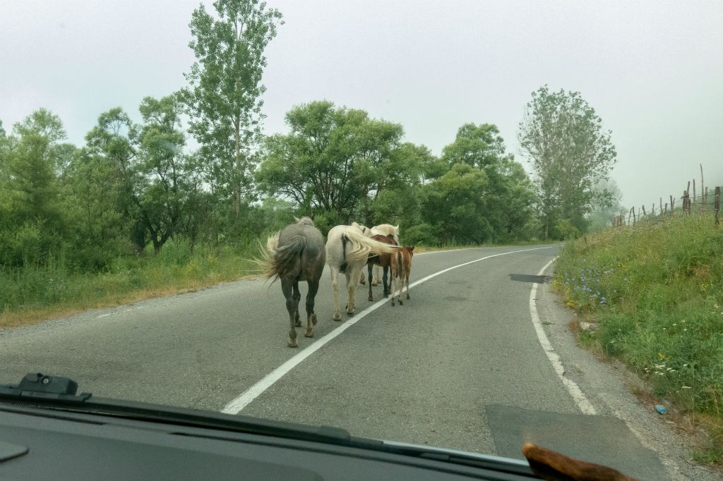 Sur la route vers Gusinje