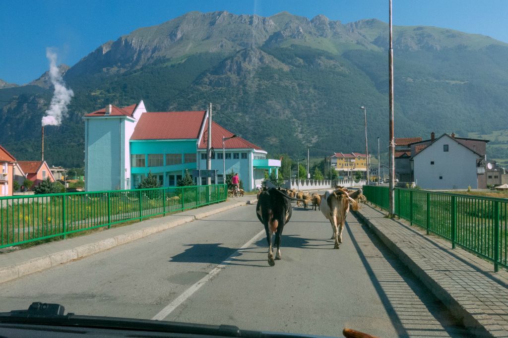 Ici il faut apprendre à partager la route