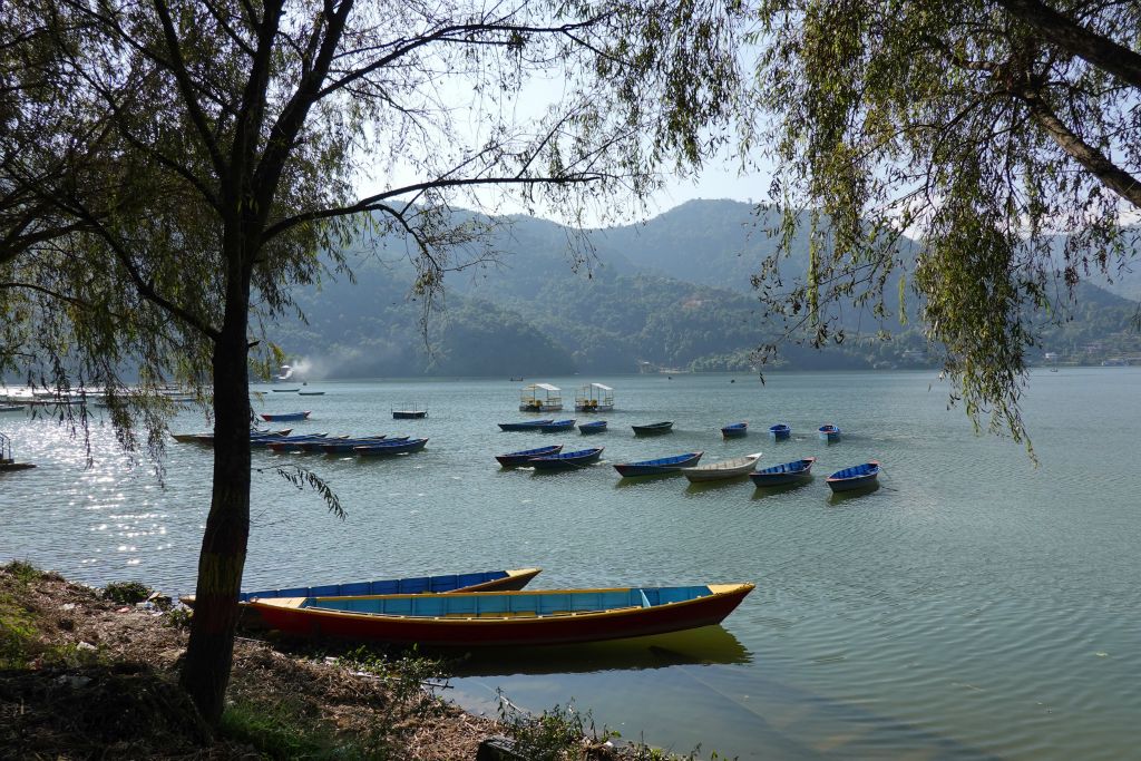 Promenade le long du lac Phewa de Pokhara, très prisée des népalais