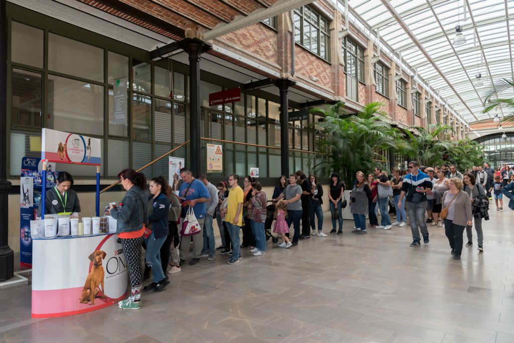 La plus longue file d'attente était pour des échantillons gratuits de croquettes pour chiens ou chats !!!